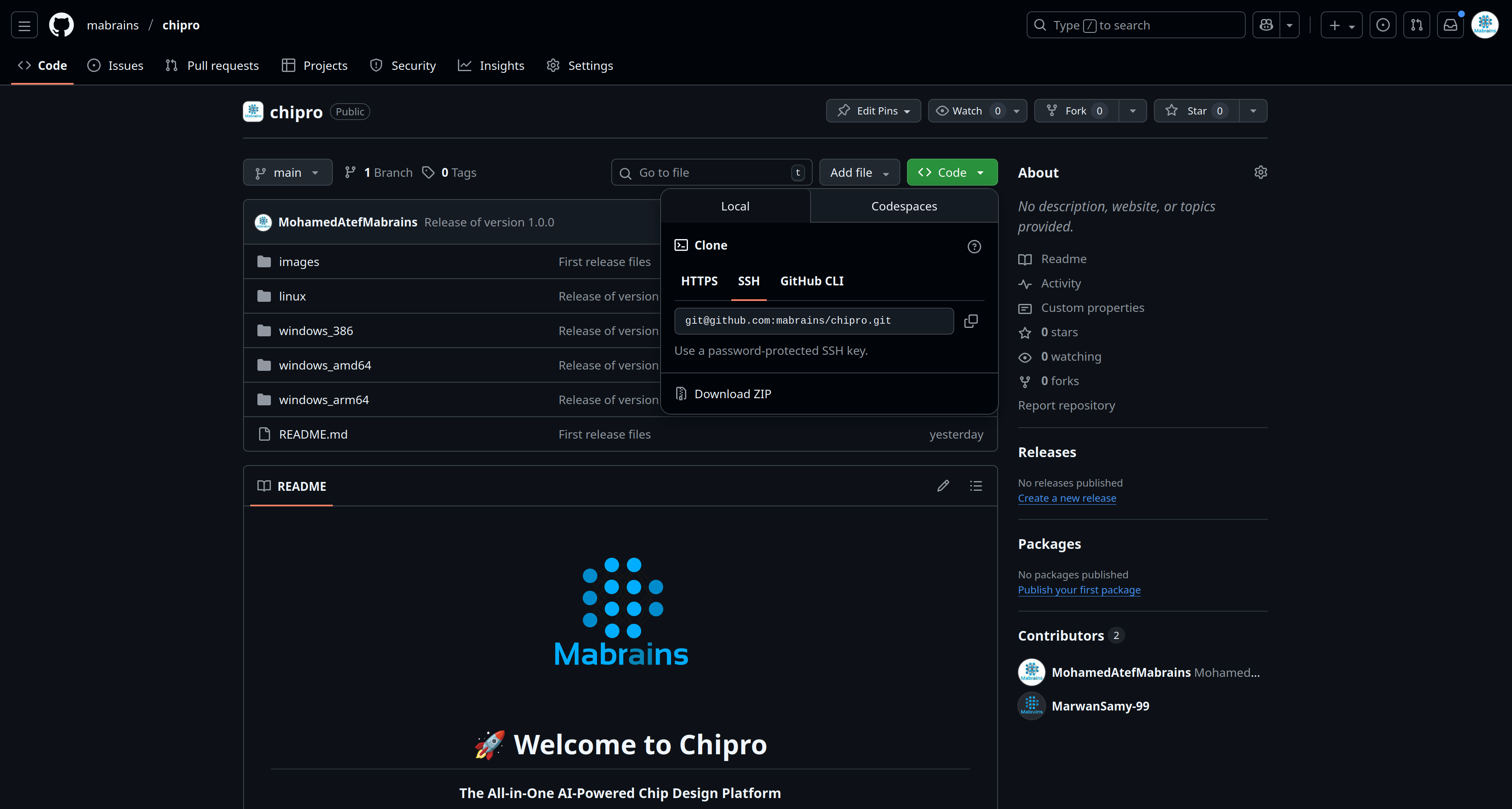 Download From Github
