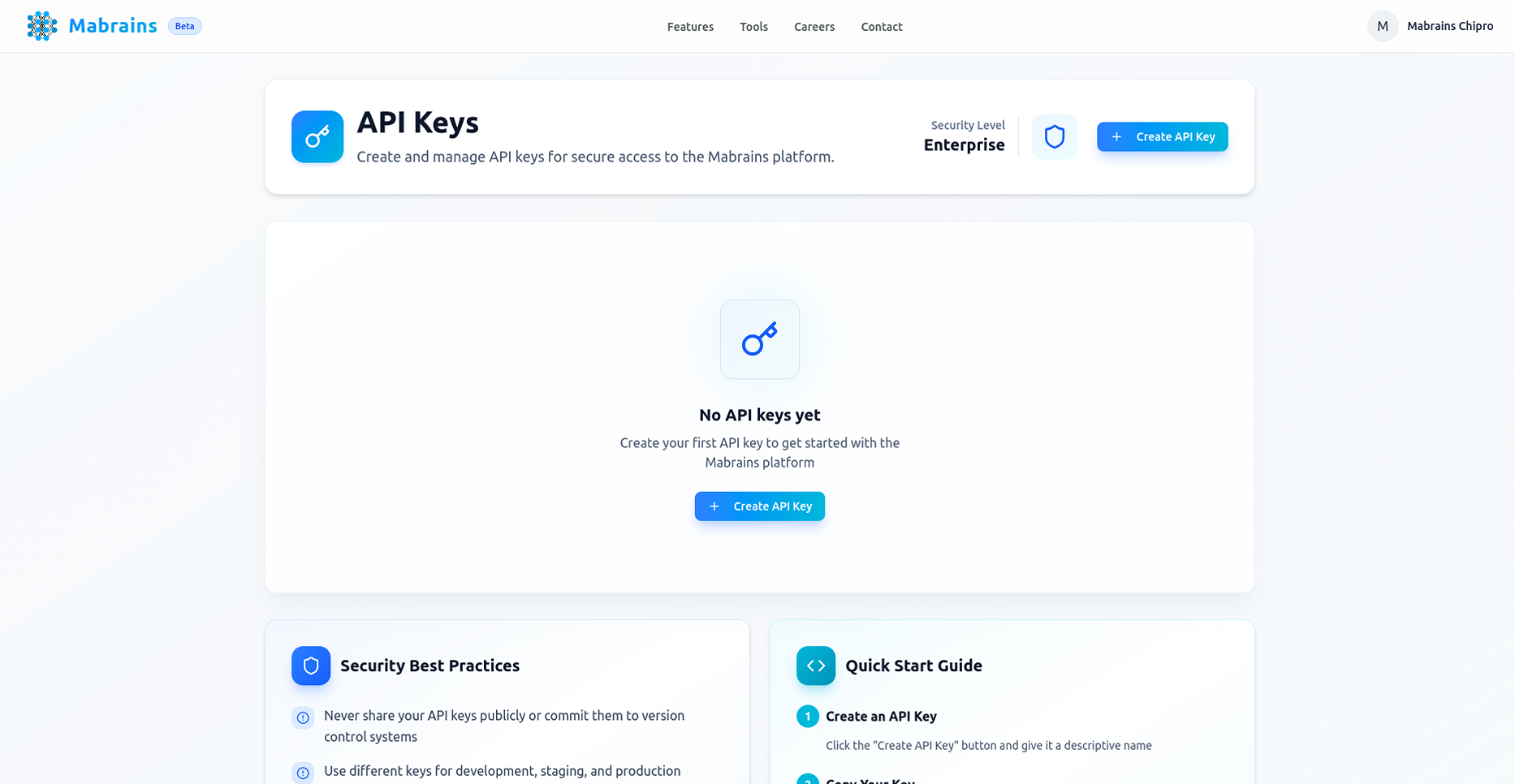 API Keys Page - Empty State